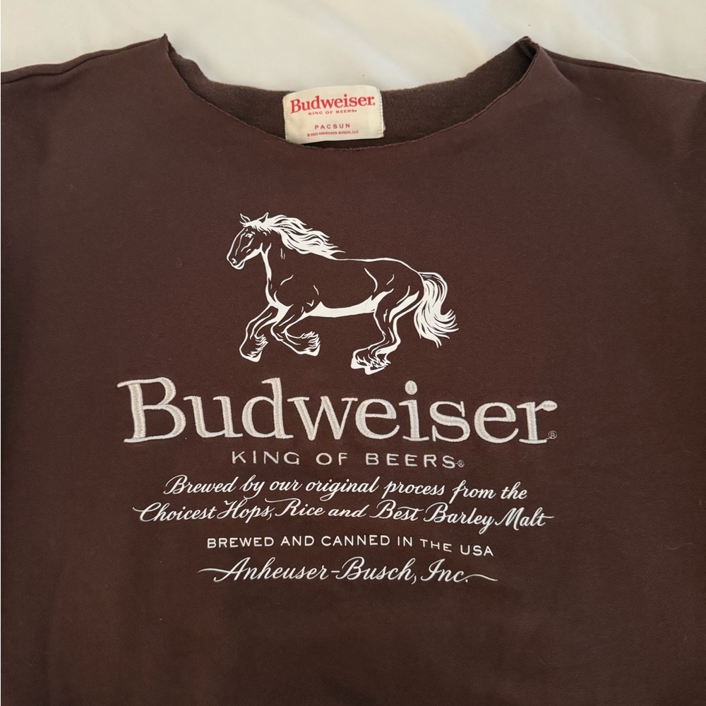 PacSun Brown Long Sleeve Tee with Iconic Design